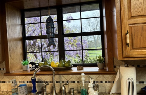 Hugo House | Beautiful, secluded ranch home with 3 bdrm and 2 ba
