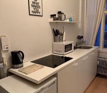 Copenhagen City Centre Apartment | Beautiful Studio Apartment In the Heart of Copenhagen