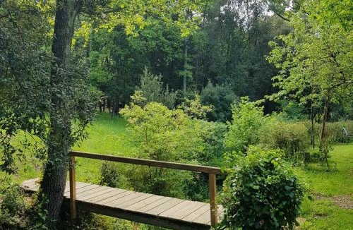 Lanet House | Beautiful studio surrounded by nature