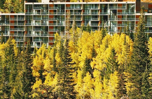 Sandy Apartment | Beautiful studio unit at resort, sleeps 4