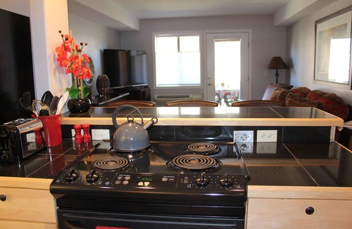 Durango Condo | Beautiful views of Animas Red Cliffs, immaculate, high end furnishings