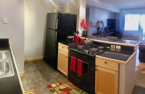 Durango Condo | Beautiful views of Animas Red Cliffs, immaculate, high end furnishings