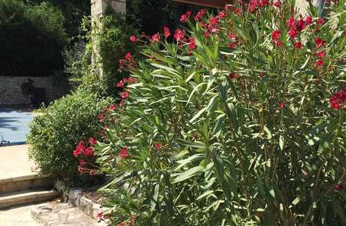 Les Angles House | Beautiful villa, 2 minutes from Avignon, with a private pool.