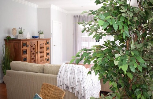 Arkles Bay Apartment | Beautiful Waterside Studio Apartment