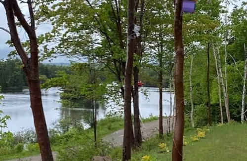 Cape Breton Island House | Beautiful Waterview near Cabot Trail