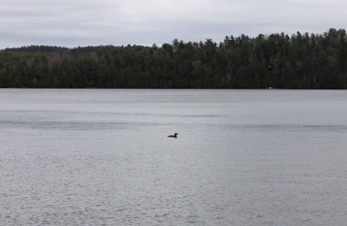 Northfield Cottage | Beautiful year-round retreat on Heney Lake