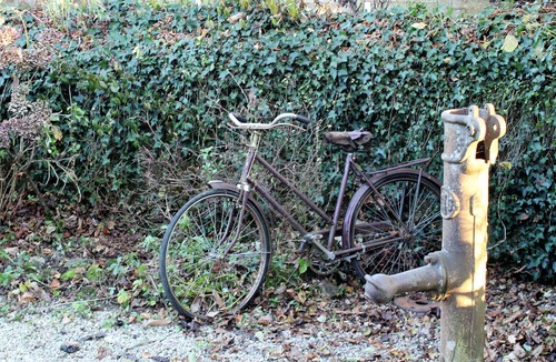 Larchamp House | Beautifully Converted 18th Century Detached Barn in Peaceful Rural Setting