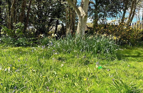 Herstmonceux Cottage | Beautifully Designed Peaceful Cottage