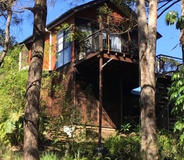Buderim Apartment | Beautifully Elevated Treehouse Apartment
