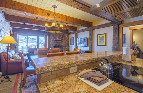 Mount Crested Butte Condo | Beautifully Remodeled Ski-In/Out Condo w/Mountain Views, Fireplace, Balcony