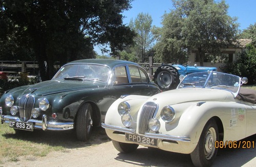 Sardan Cabin | Beautifully restored authentic circus wagon