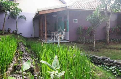 Padonan Villa | Beauty, tranquility and murmur of rice fields, the cocktail of your vacation in Bali!
