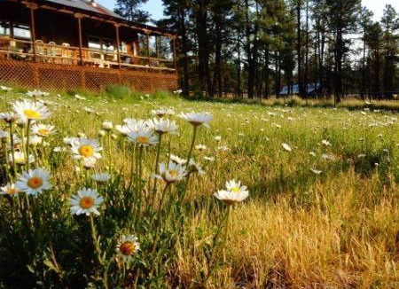 Blue House | Beaver Creek Guest Ranch