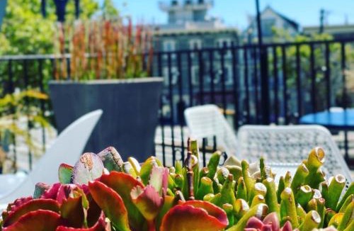 Duboce Triangle Hotel | Beck's Motor Lodge