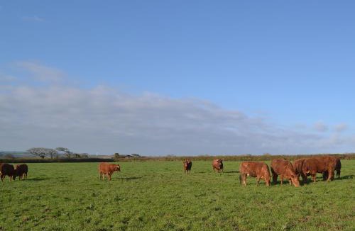 Jacobstow House | Beckaveans Stable