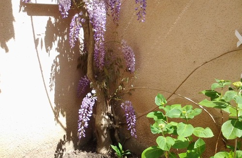 Malicorne-sur-Sarthe House | BED AND BREAKFAST WITH PRIVATE BATHROOM - B