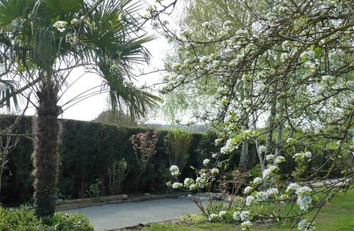 Chatillon-sur-Indre Cottage | Bed and breakfast and Gîte Anne-Marie