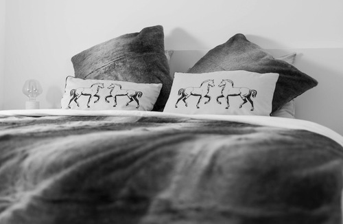Mandres Bed & Breakfast | Bed and breakfast at Haras d'Agathe et ses princes - dogs and horses welcome