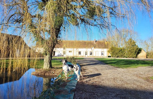 Mandres Bed & Breakfast | Bed and breakfast at Haras d'Agathe et ses princes - dogs and horses welcome