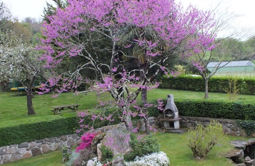 Loubajac Bed & Breakfast | Bed and breakfast at the farm, Lourdes Pyrénées, ANOUSTA