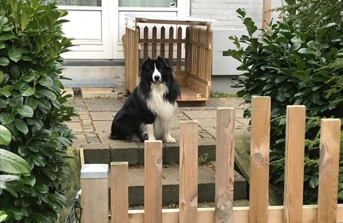 Birkerod Bed & Breakfast | Bed and Breakfast Birkerod