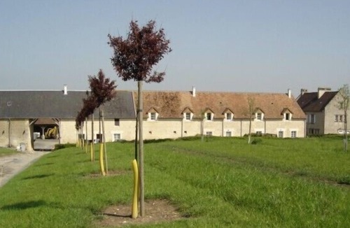 Petiville House | Bed and breakfast Clévacances 5km from Cabourg and Coast beaches