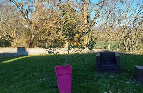 Puycasquier Bed & Breakfast | Bed and Breakfast 'Dame De Coeur' with Shared Terrace, Private Garden and Wi-Fi