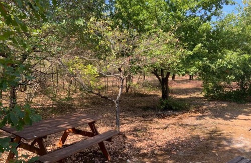 Commensacq Bed & Breakfast | Bed and breakfast Dune