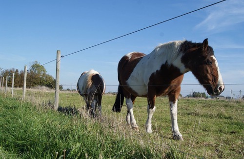 Zegerscappel Bed & Breakfast | Bed and Breakfast, spa and sauna /hammam, dinners and breakfasts included.