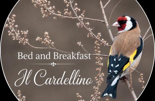 San Carlo Bed & Breakfast | Bed and Breakfast Il Cardellino