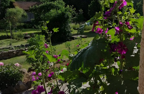 Rehaupal Apartment | Bed and Breakfast 'La Sapinière' with Shared Terrace, Wi-Fi and Air Conditioning
