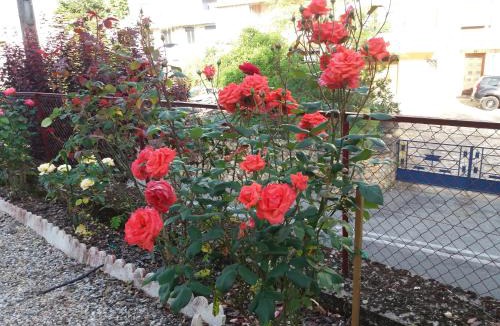 Fumel Apartment | BED AND BREAKFAST LES ROSES MULTICOLORES DU 47