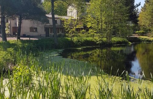 Sevremont House | Bed and breakfast Le Moulin de Charin- Wheat in grass- Puy du Fou