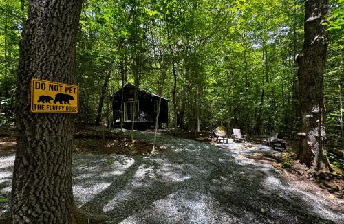 Balsam Grove Other | Bed & Bear - Couples Glamping Cabin at Valley Bear Farms Resort