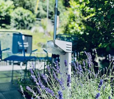 Olten Bed & Breakfast | Bed Bike and Breakfast Olten