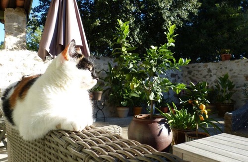Durban-Corbieres Apartment | Bed & Breakfast South of France