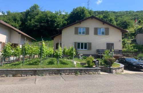 Obermumpf Bed & Breakfast | Bed n Breakfast Obermumpf