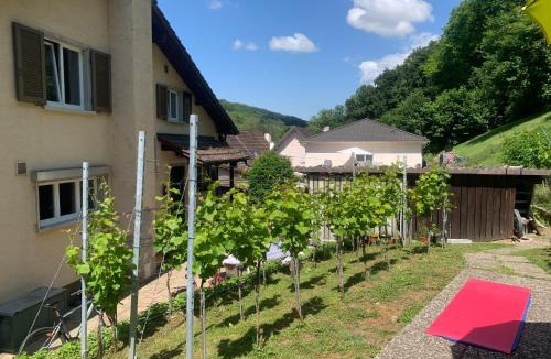 Obermumpf Bed & Breakfast | Bed n Breakfast Obermumpf