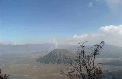 Ngadisari Bed & Breakfast | Bedroom for 4 person view direct to Mt. Bromo