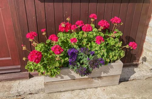 East Lydford House | Bee Cottage