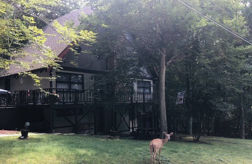 Beech Mountain House | Beech Gem PRIVATE GUEST SUITE nestled on Beech