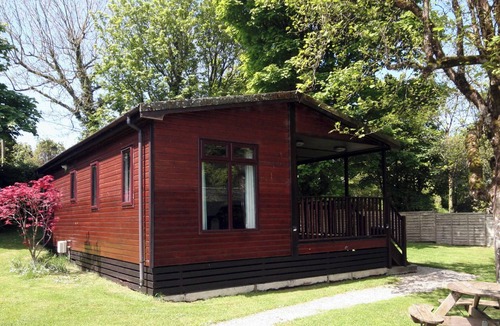 Otterham Apartment | Beech Lodge- Orchard Lodge No 2