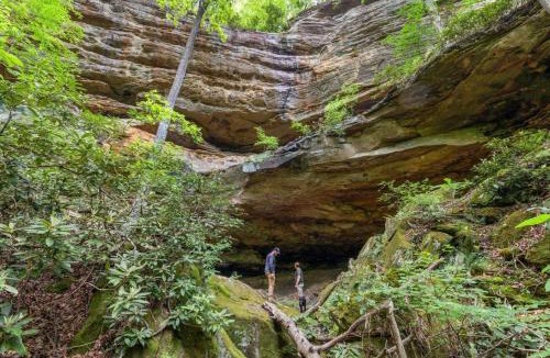 Heidelberg House | Beech Timber- 30 Acre Secluded Glamping in RRG