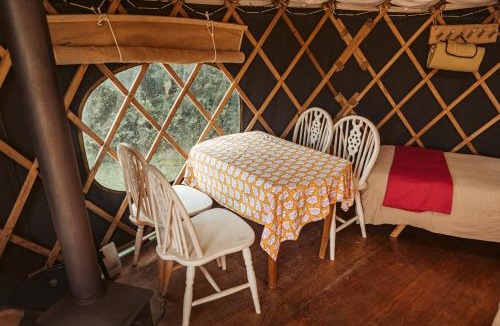 Haslemere Other | Beech Yurt