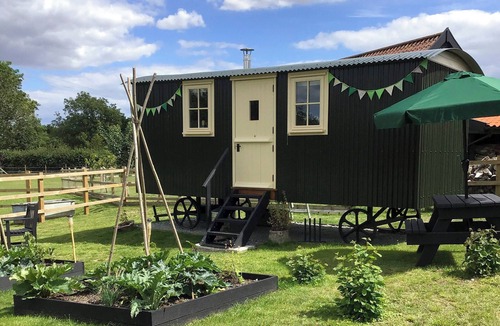Weybread Cottage | Beeches Shepherd Hut