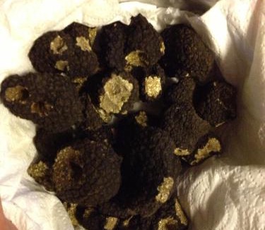 Marville Hotel | Bel Air