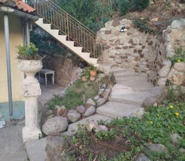 Arles-sur-Tech Apartment | Bel appartement près d'Amélie-les-Bains avec jardin