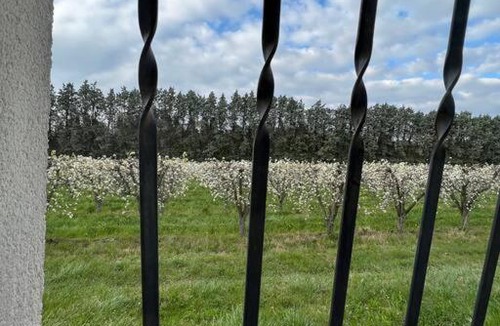 Cabannes Apartment | Bel appartement avec Parking