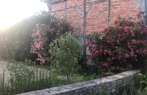 Rion-des-Landes House | Bel appartement et jardin chez Maison Devaux