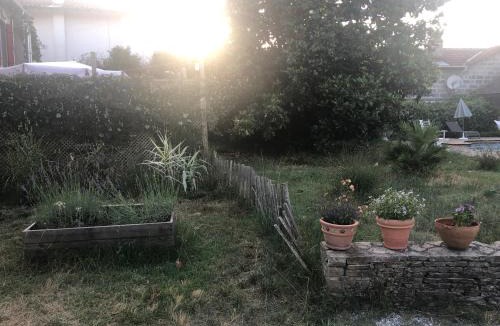 Rion-des-Landes House | Bel appartement et jardin chez Maison Devaux